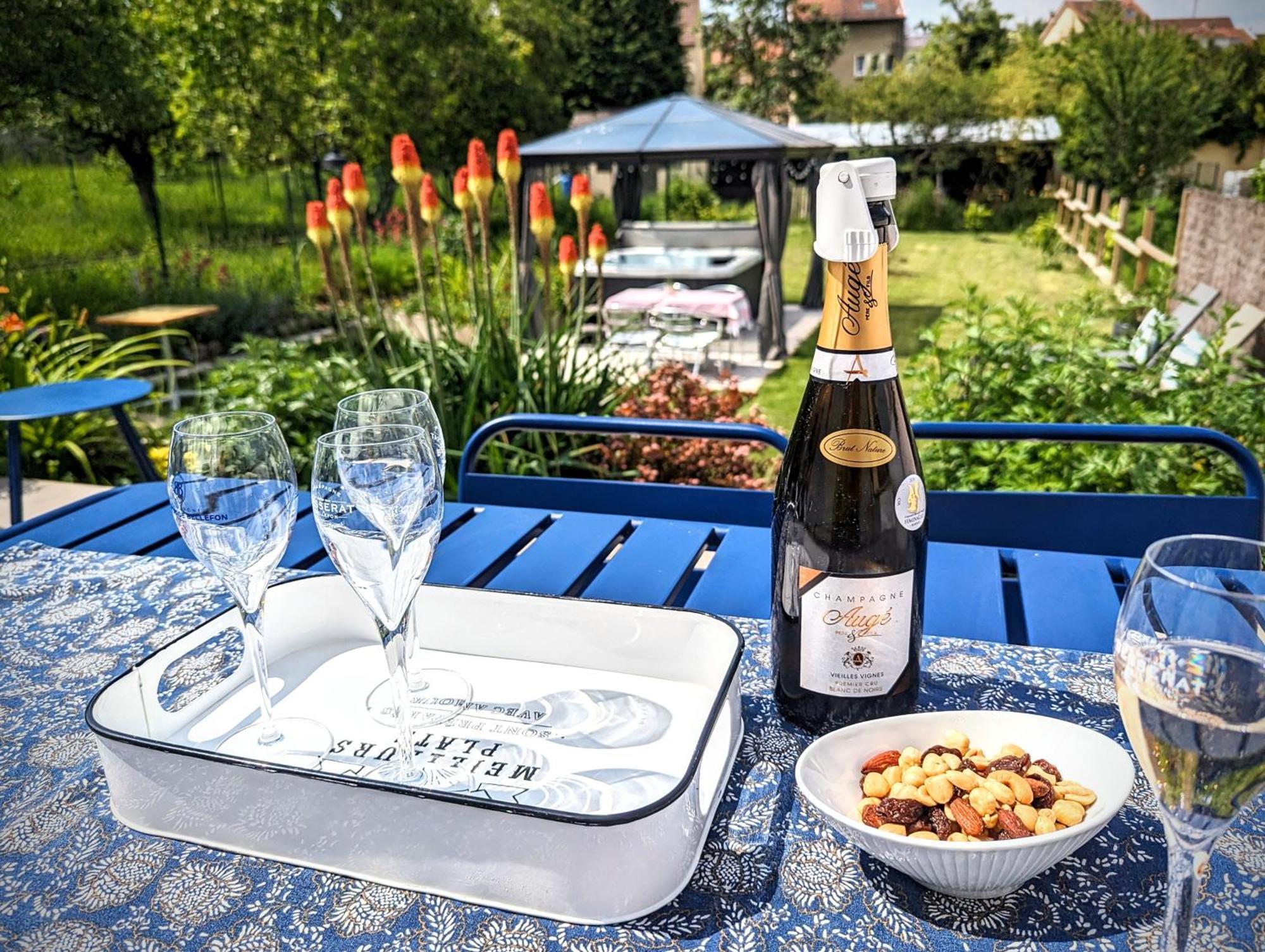 Le Cemarose: Spa, Jardin, Terrasse Et Jolie Vue Au Coeur D'Épernay Dış mekan fotoğraf